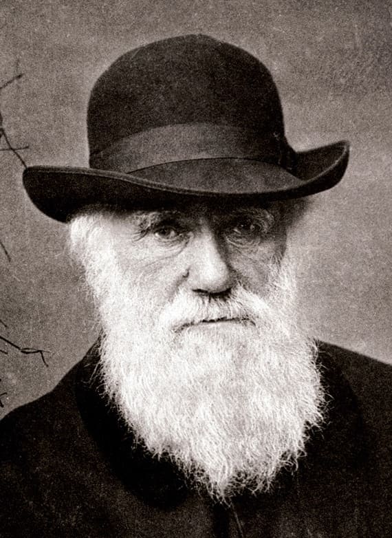 Charles Darwin barba barbudo