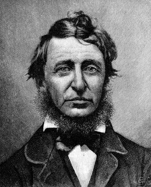 Henry David Thoreau barba nao e moda barbudo